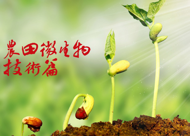 農(nóng)用微生物菌劑和生物菌肥有什么區(qū)別？