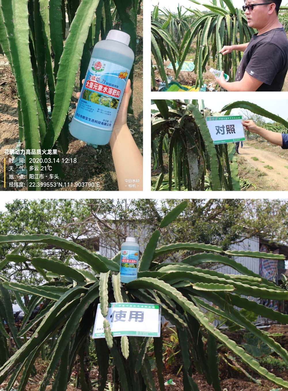 佛山市植寶生態(tài)科技有限公司