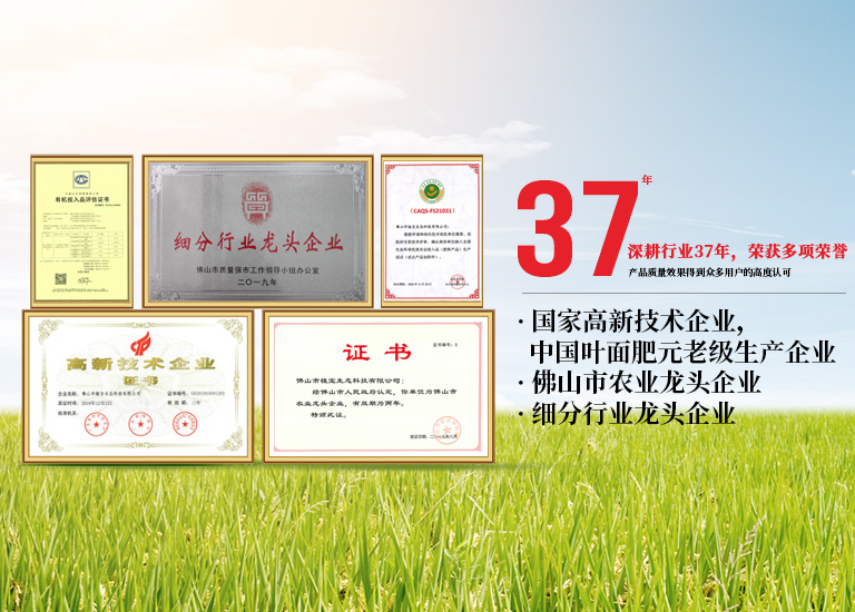 農(nóng)用微生物菌劑在農(nóng)業(yè)中的作用