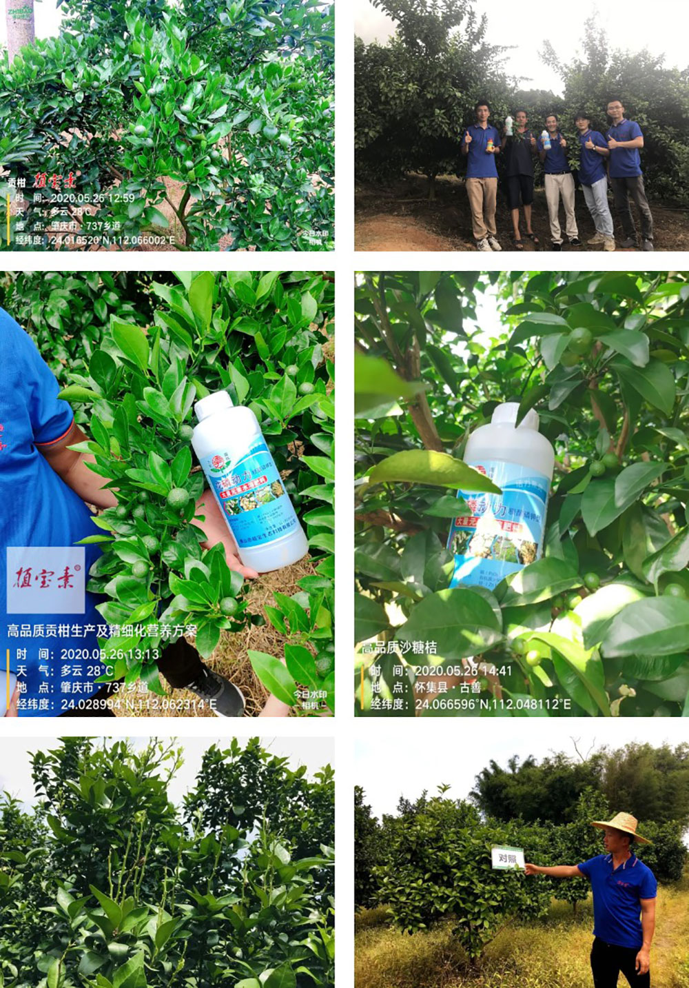 佛山市植寶生態(tài)科技有限公司