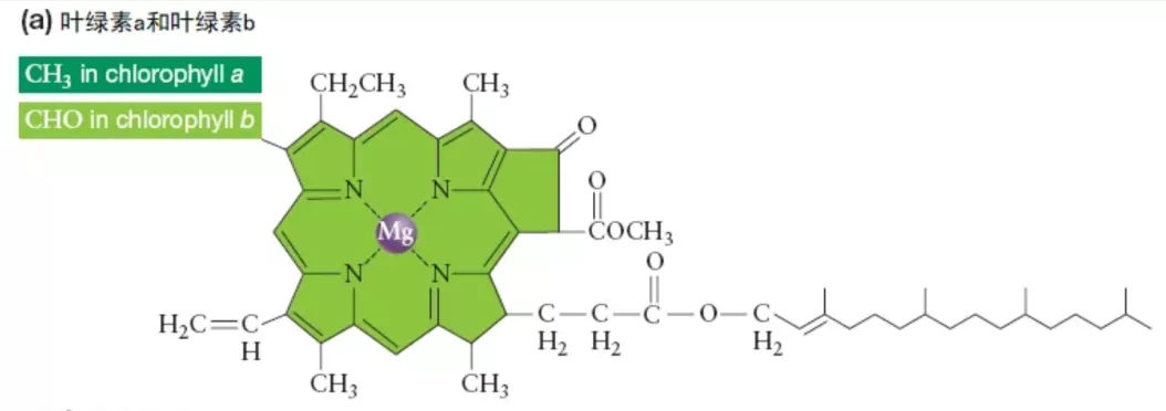 佛山市植寶生態(tài)科技有限公司