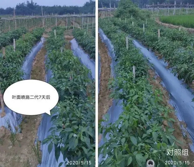 佛山市植寶生態(tài)科技有限公司