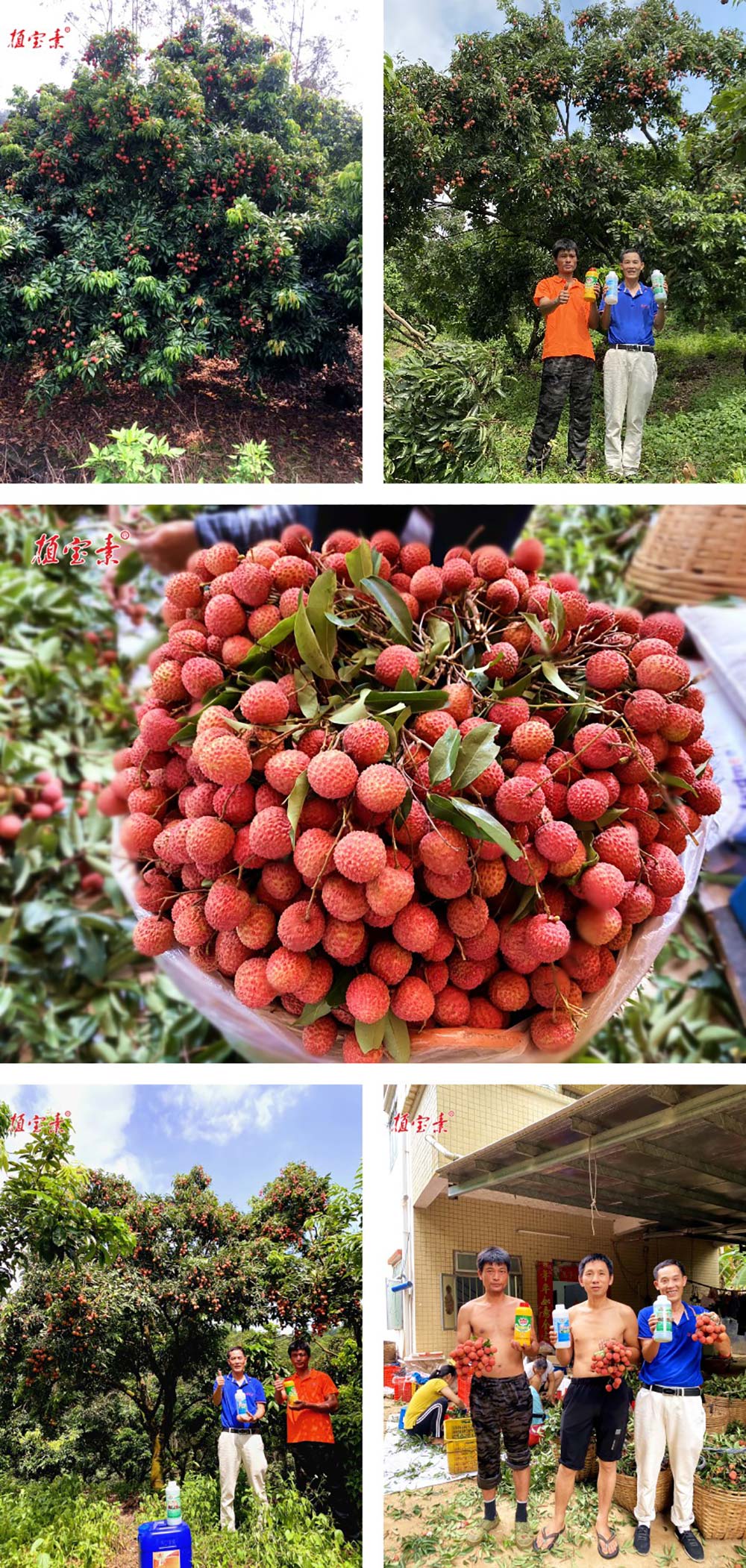 佛山市植寶生態(tài)科技有限公司